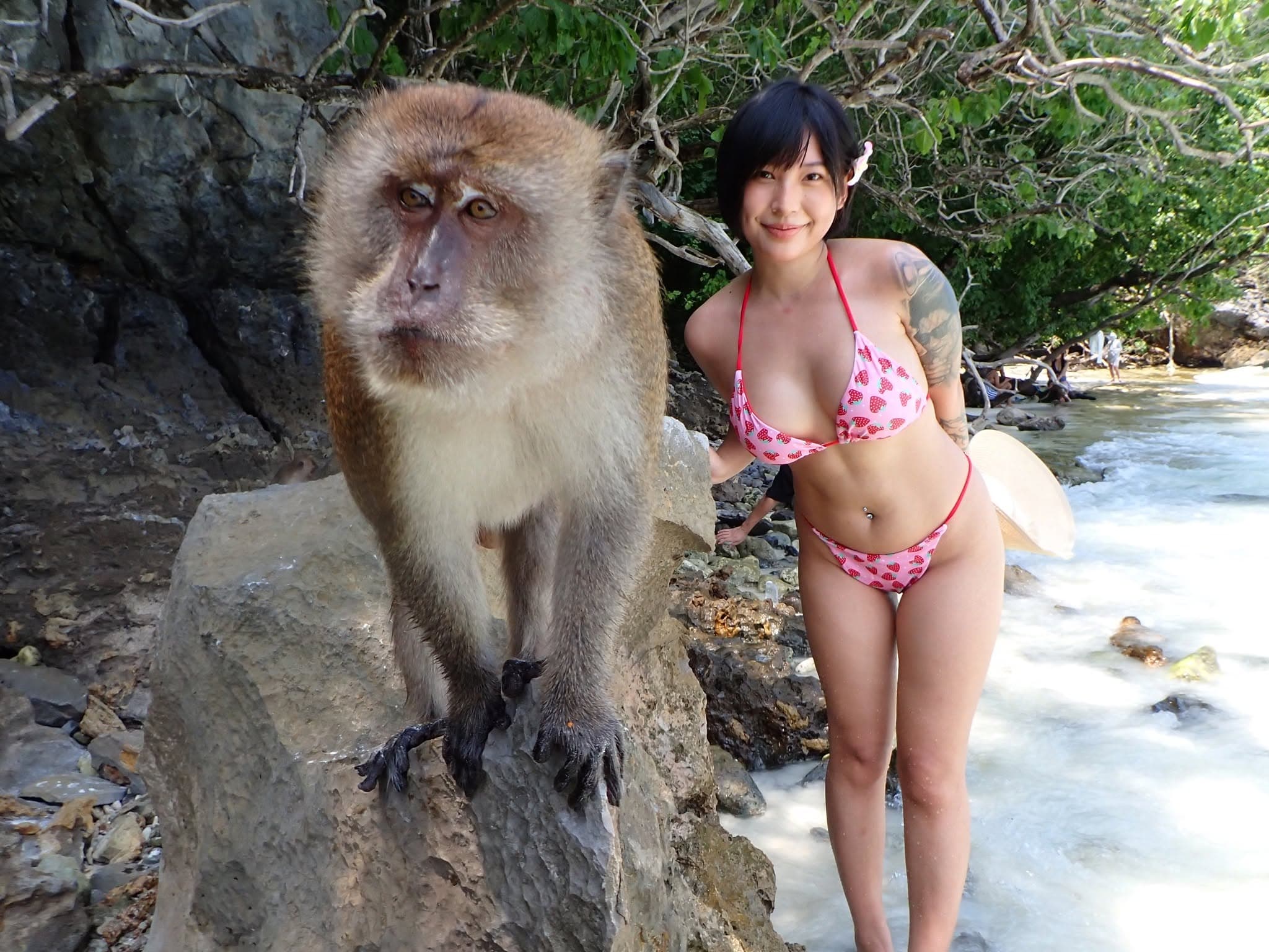 Monkey Beach